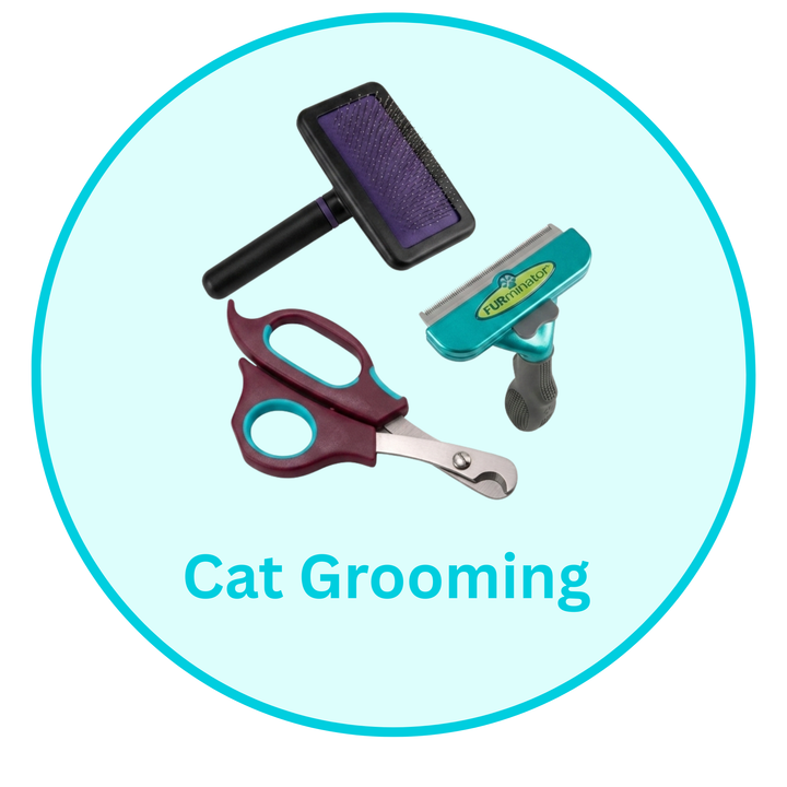 Cat Grooming