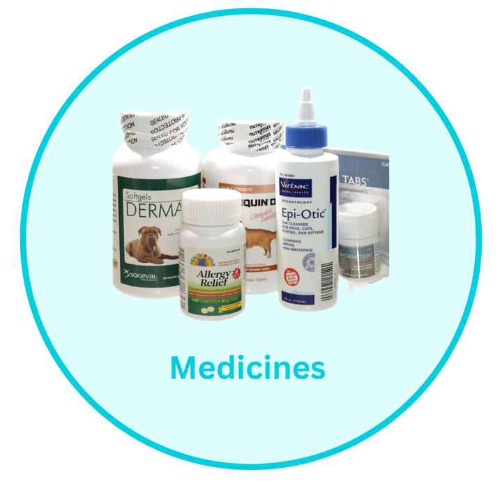 Pet Medicine