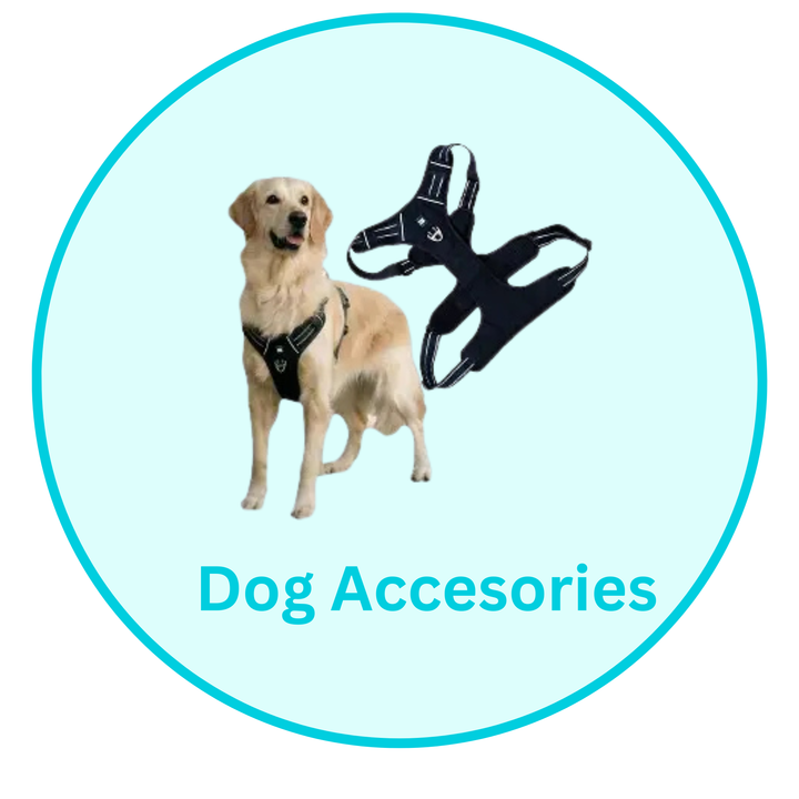 Dog Accessories