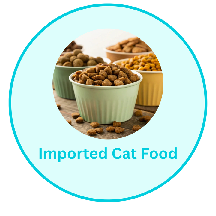 Imported Kitten Food