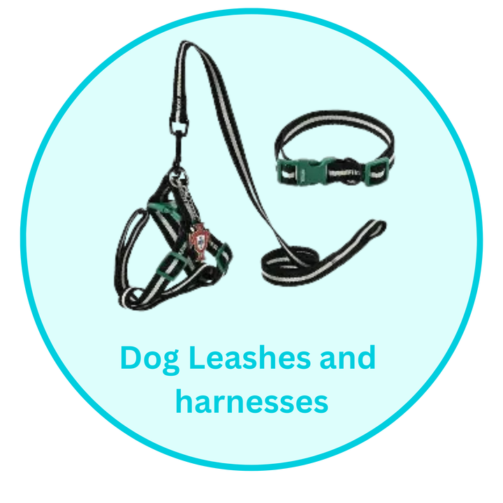 Dog Leashes and harnesses
