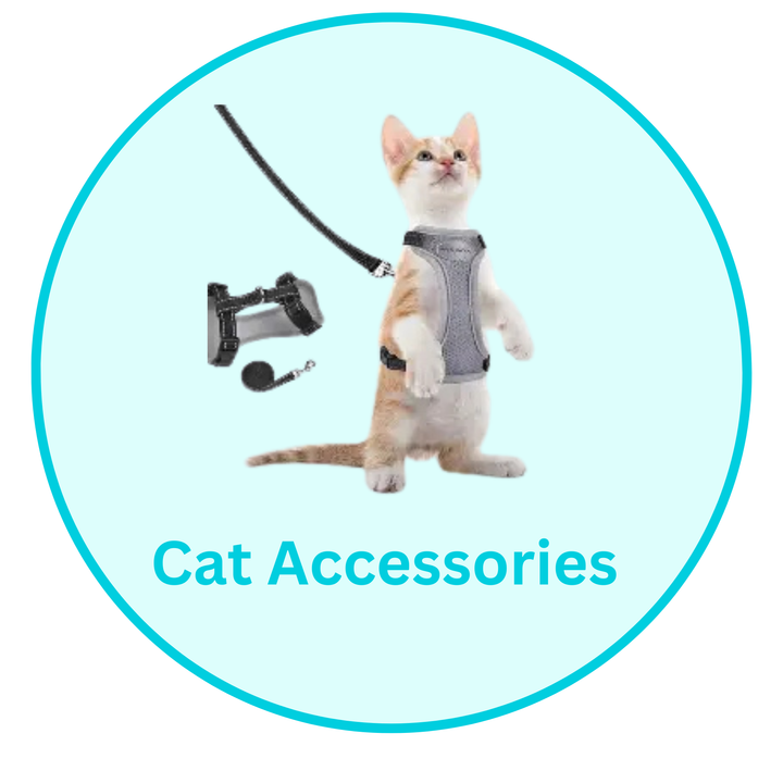 Cat Accessories