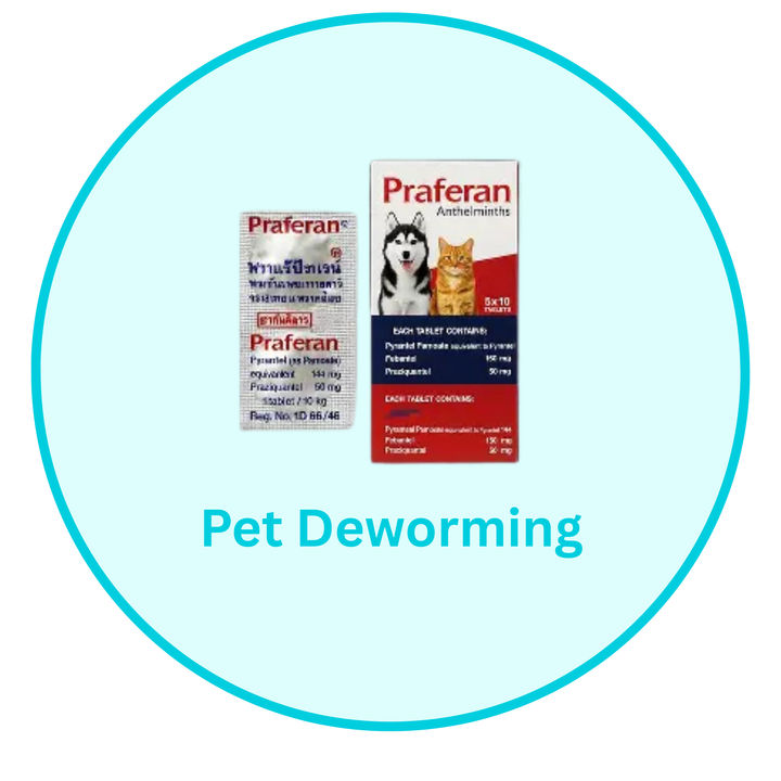 Pet  Deworming