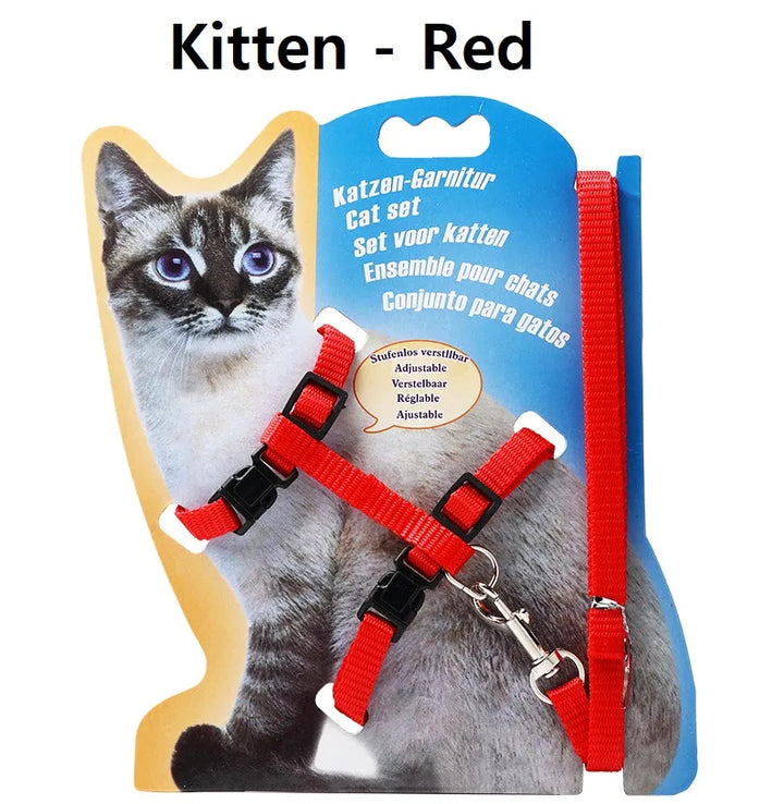 Adult Cat Kitten Leash and Harness Set PS502 PS-LH – Chest Harness for Small Breeds