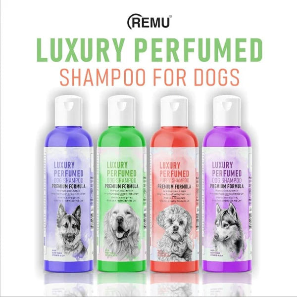 Remu Luxury Perfumed Dog Shampoo – Premium Grooming for Dogs