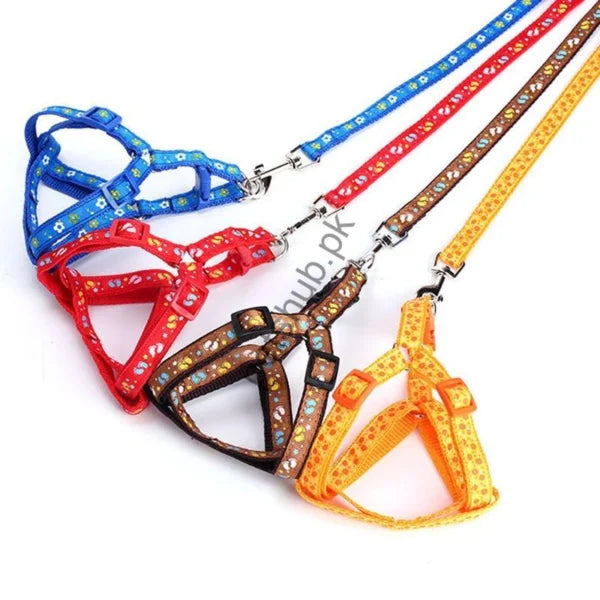 Adjustable Harness for Cats and Puppy – Comfortable, Safe & Secure