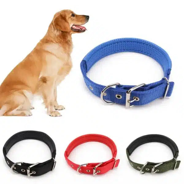 Dog Soft Collar with Buckle – Comfortable, Adjustable & Durable
