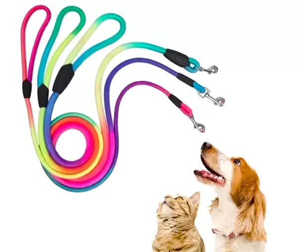 Multi Colour Leash for Cats and Dogs | Stylish, Durable Pet Leash