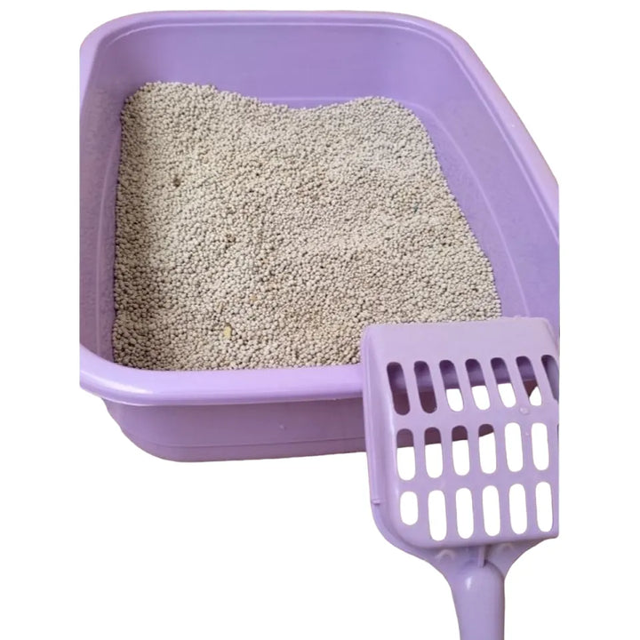 Kitten Litter Tray – Multi Color with Free Scoop | Kitten Litter Bo