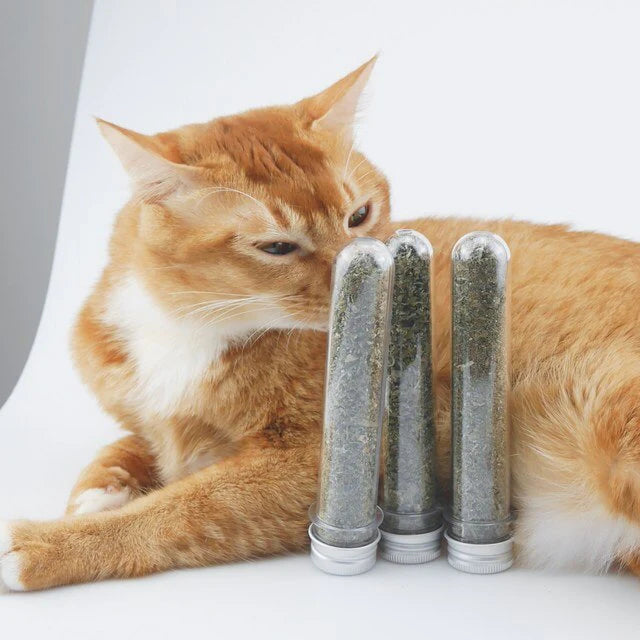 100% Natural Catnip Leaves for Cats – Premium Organic Catnip